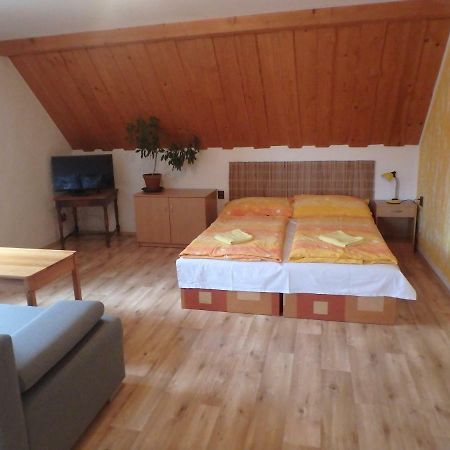 Apartments Vecernik Rokytnice 로끼뜨니쩨나드이제로우 외부 사진