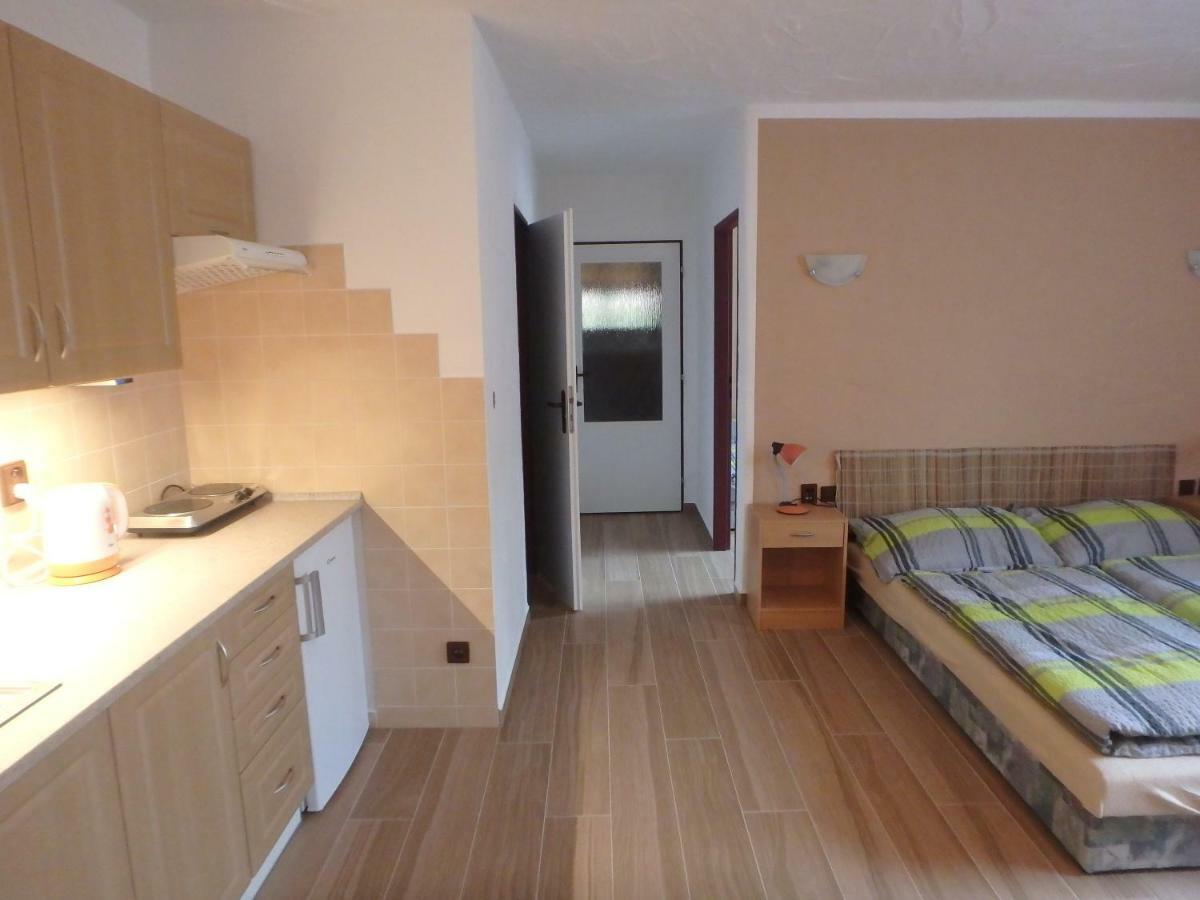 Apartments Vecernik Rokytnice 로끼뜨니쩨나드이제로우 외부 사진
